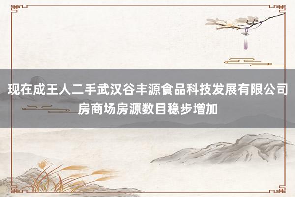 现在成王人二手武汉谷丰源食品科技发展有限公司房商场房源数目稳步增加