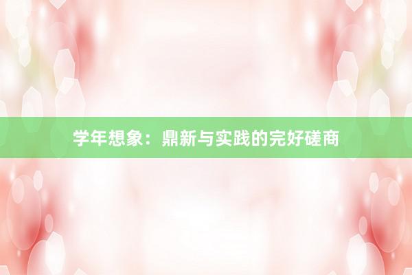 学年想象：鼎新与实践的完好磋商